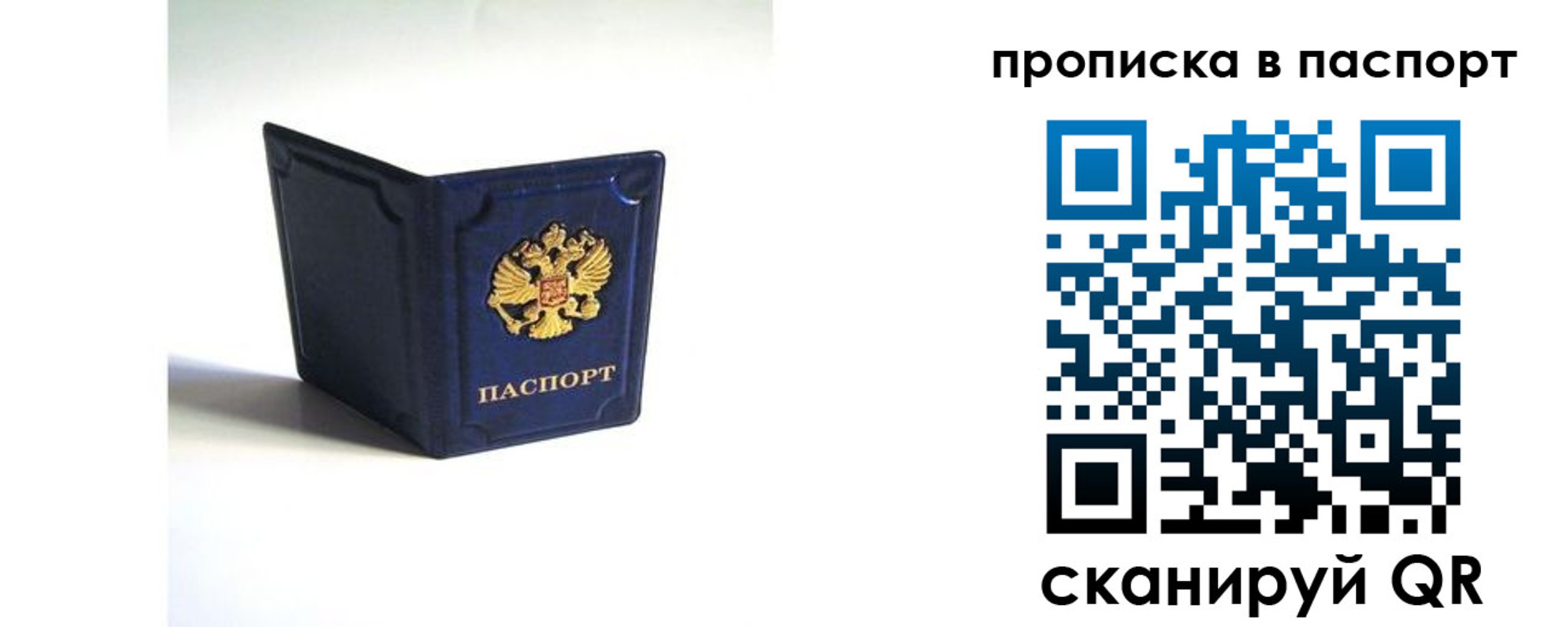 временная регистрация гарантия в Камышлове